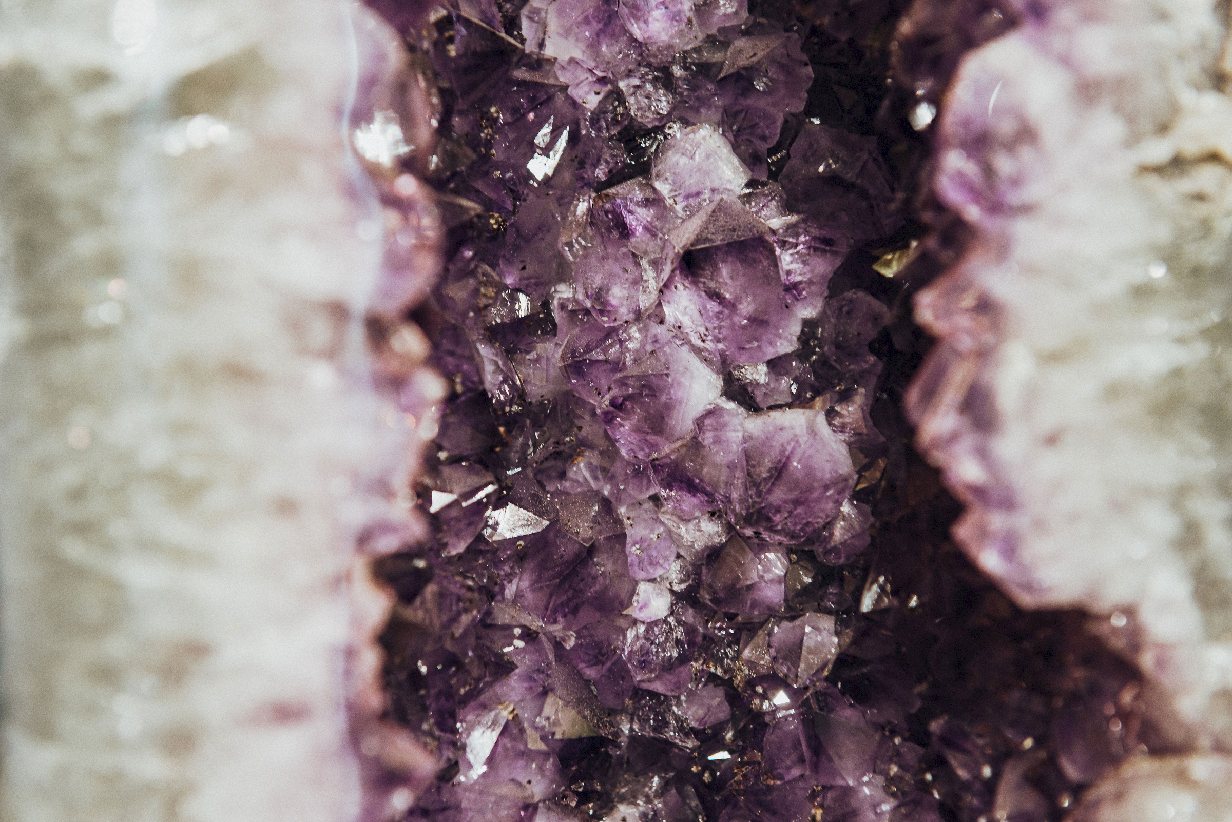 Kostbar&shy;keiten <nobr>aus den</nobr><br />
Schatz&shy;kammern <nobr>der Welt</nobr>